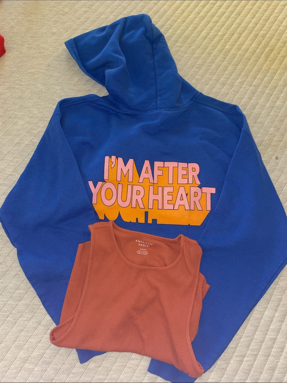 American Eagle Outfitters tank & gildan Blue Hoodie with Pink and Orange Graphic